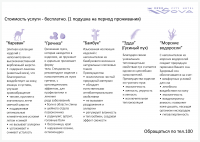 Работа 3076083