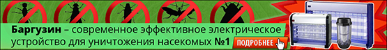 Устроиство от насекомых - "Баргузин"