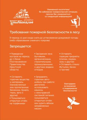 Листовка в существующем фирменном стиле