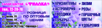 салон цветов