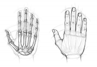 Работа 2744826