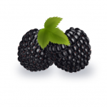 Работа 2361501