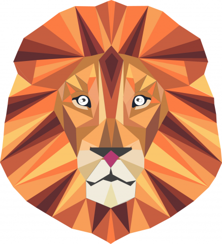 Работа 3250079