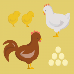 illustration of a rooster, hen and chicks