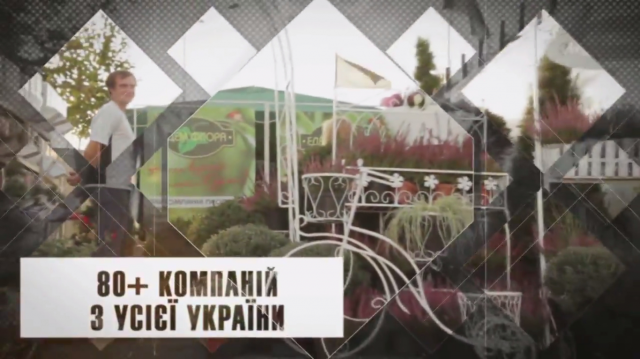 Видео реклама
