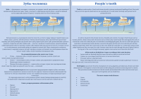 Перевод стоматологической статьи