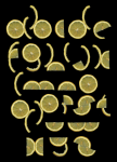 Плакат