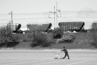 Работа 1888367