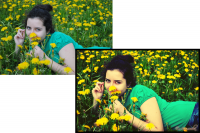 Одуванчики