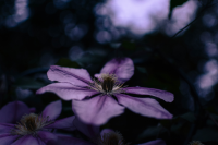 Работа 3057819