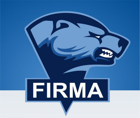Публичная страница FIRMA
