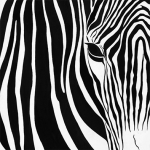 Работа 2558429