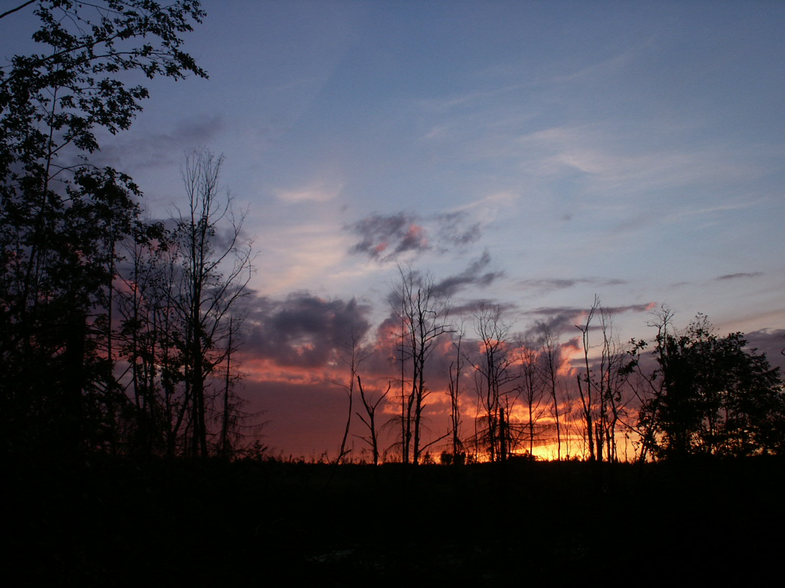 pic1426567.jpg