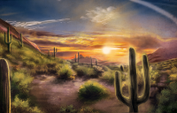 Иллюстрации для книги Карлоса Кастанеды "Путешествие в Икстлан"