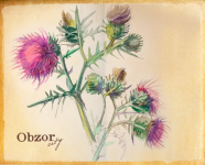 Работа 1069459