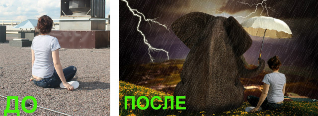 Работа 3316684
