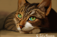 Рисунок кота на графическом планшете