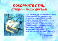 листовка