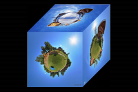 Виртуальные 3D туры