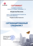 Сертификат Разработчик Btirtix Framework