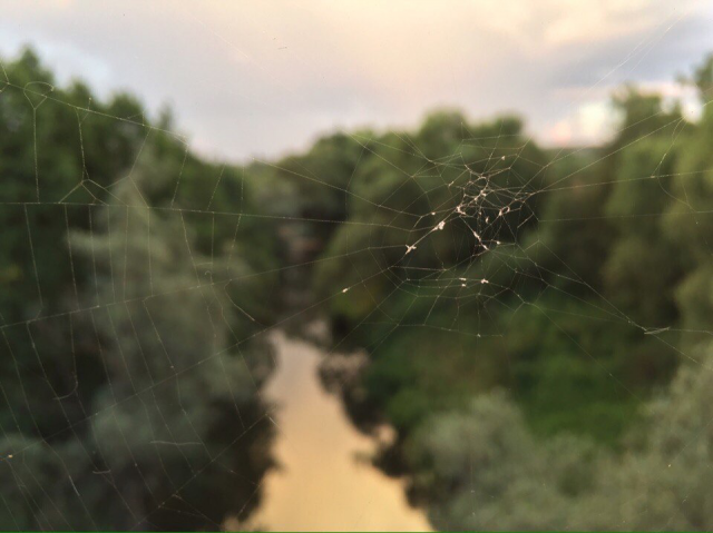 Работа 3292060