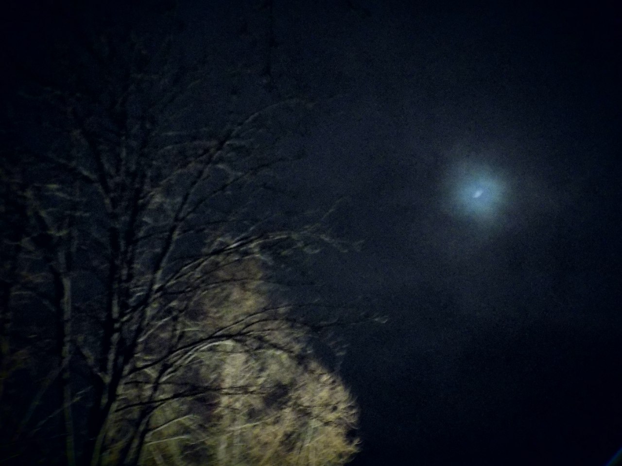 pic3292064.jpg