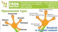 Макет визитки туристического агентства Frog Traveler