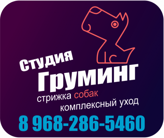 Работа 3307011