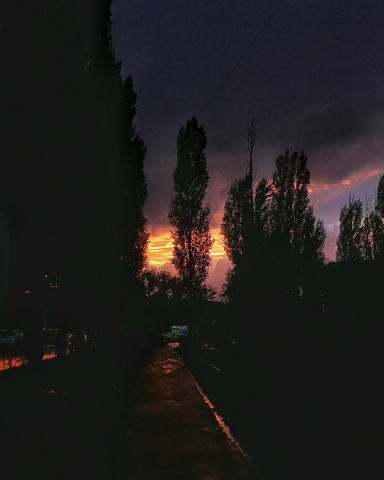 Работа 3306919