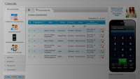 CRM-система «Колокота»
