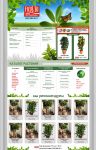 Интернет-магазин комнатных растений  www.ficus.su