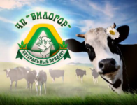 Фильм о фирме "Билогор"