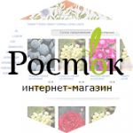 Росток