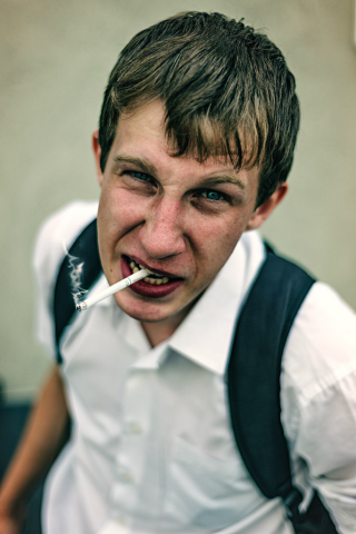 Работа 3299486