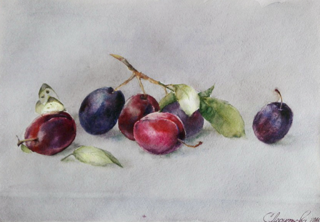 Работа 3282051