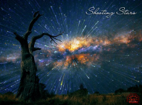 Shooting Stars