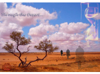Through the Desert