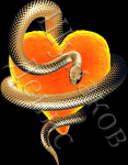 gold snake