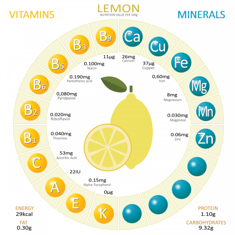 Infographics about nutrients in lemon