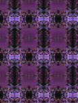 7 — Animi