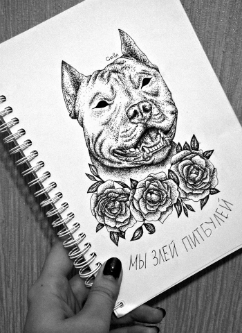 Эскиз тату питбуль