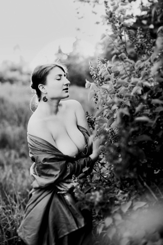 Работа 3258671