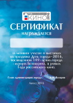 Сертификат участника конкурса "Год кино"