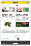 otvechaem.com - информационно - развлекательный сервис