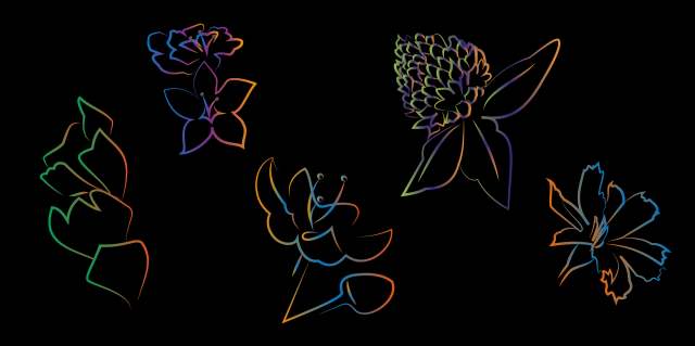 9