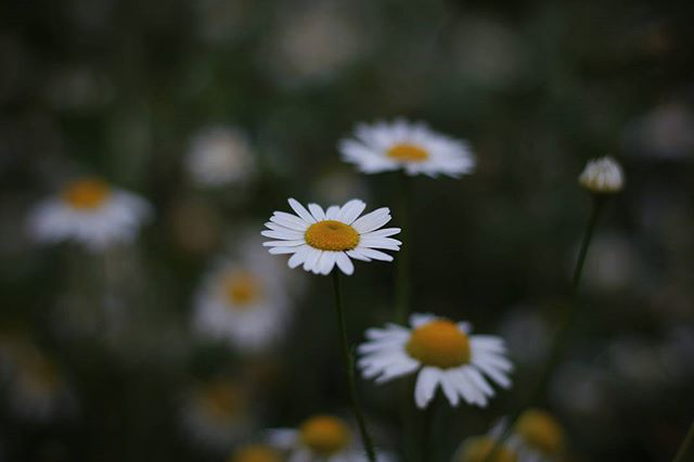 Работа 3192672