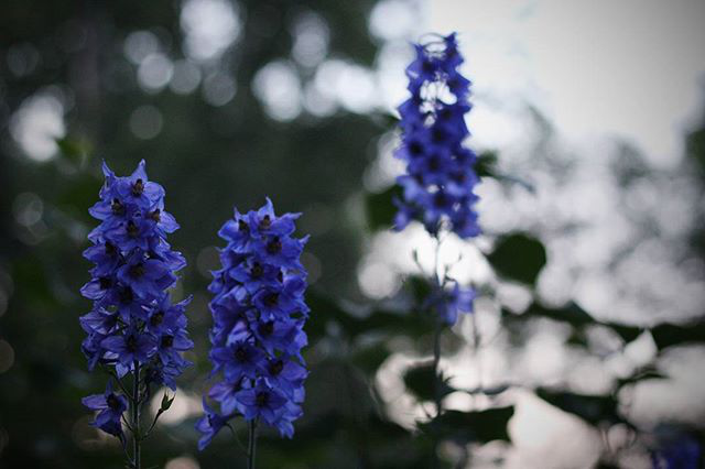 Работа 3192670
