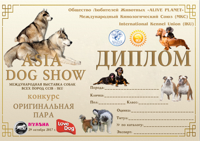 Диплом2