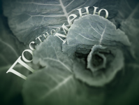 Обложка меню