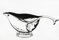 Трансформация птицы .5
